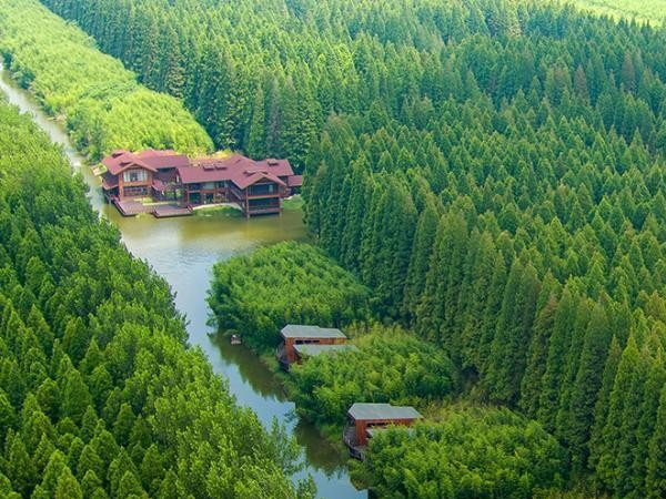 黄海森林公园