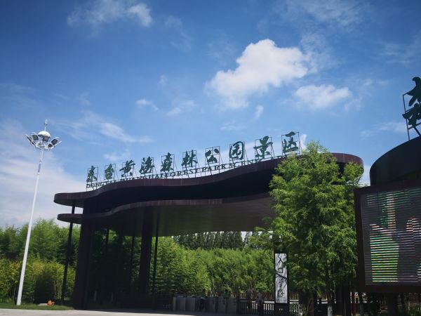 黄海森林公园