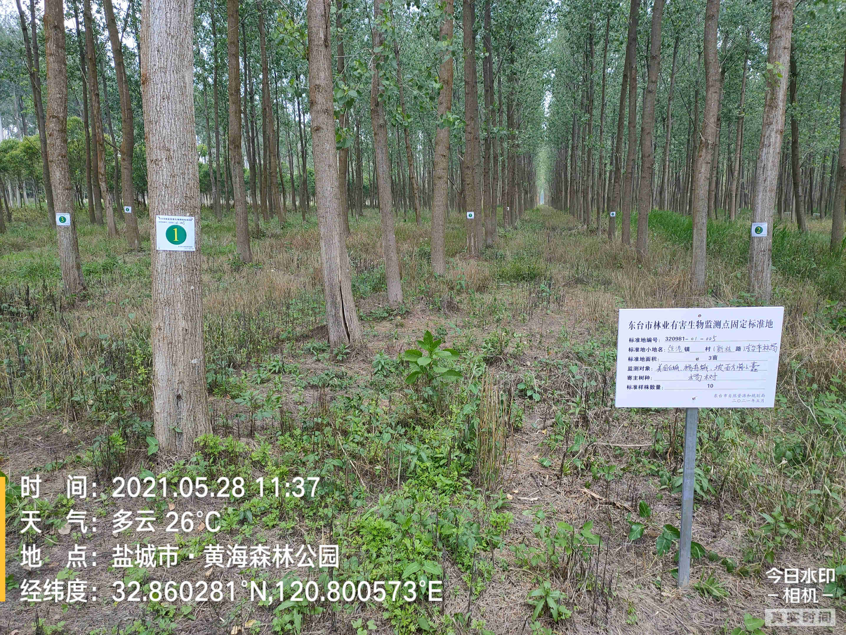 布设林业有害生物固定样地监测点